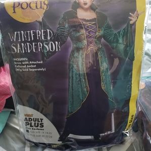 Spirit Halloween Winifred Sanderson dress and wig